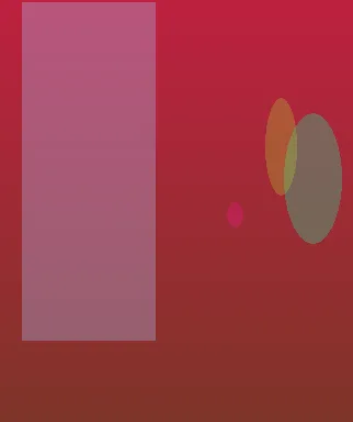 星空体育
