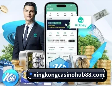 星空体育入口 APP 深度功能