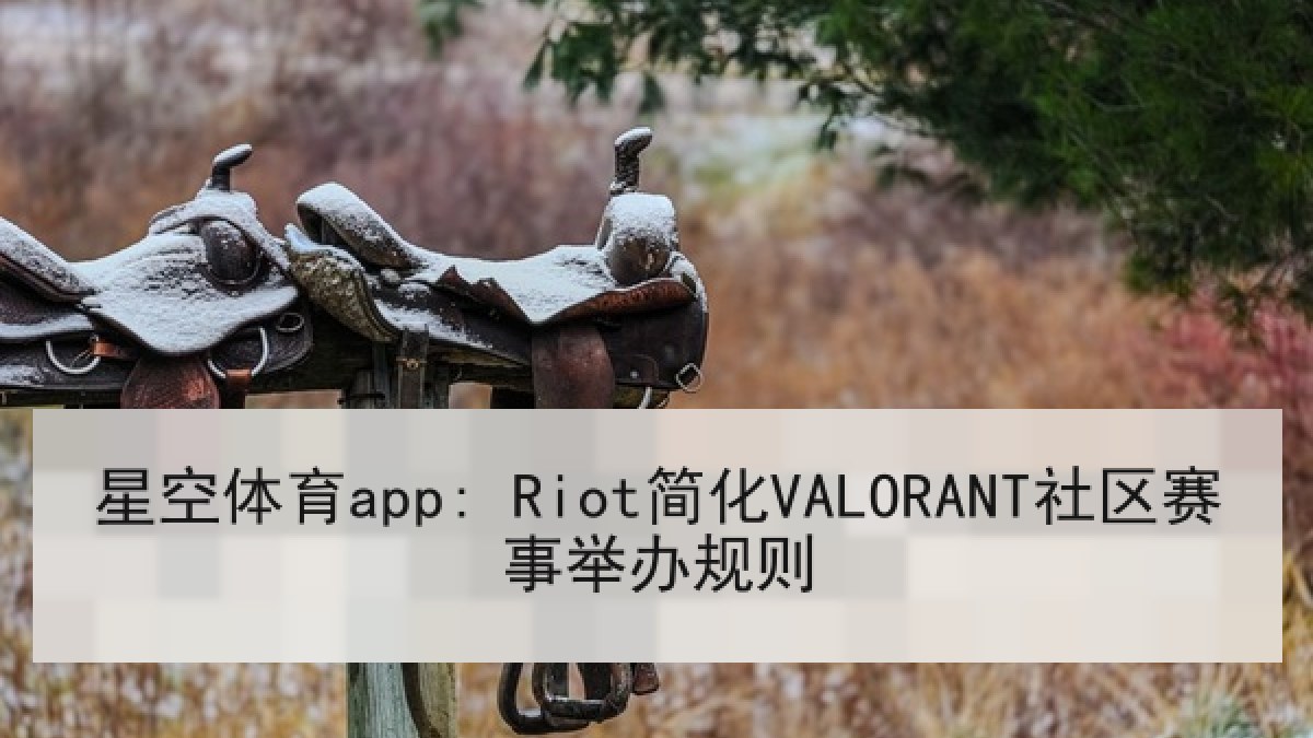 星空体育app: Riot简化VALORANT社区赛事举办规则
