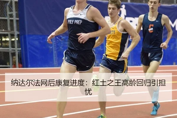 na-da-er-fa-wang-hou-kang-fu-jin-du-hong-tu-zhi-wang-gao-ling-hui-gui-yin-dan-you-3-826.jpg