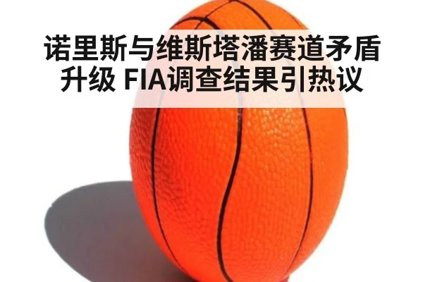 诺里斯与维斯塔潘赛道矛盾升级 FIA调查结果引热议
