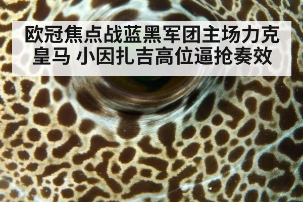 欧冠焦点战蓝黑军团主场力克皇马 小因扎吉高位逼抢奏效