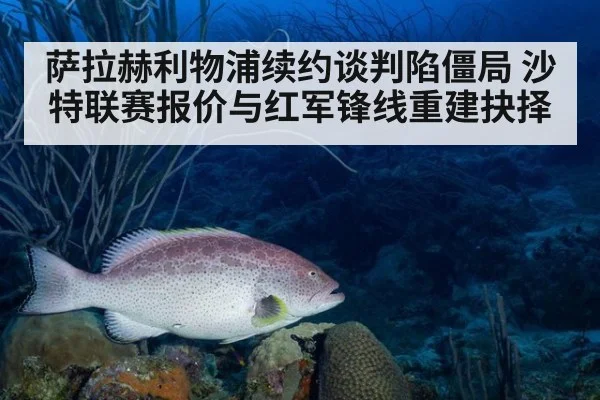萨拉赫利物浦续约谈判陷僵局 沙特联赛报价与红军锋线重建抉择