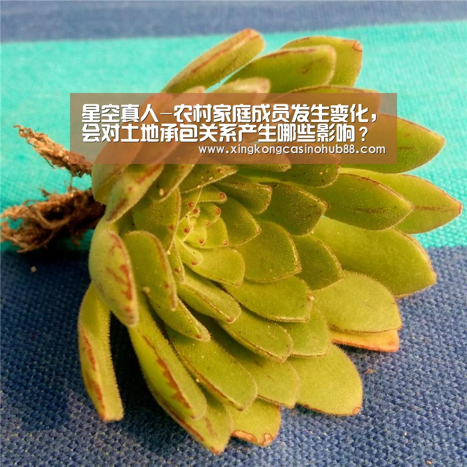 星空体育