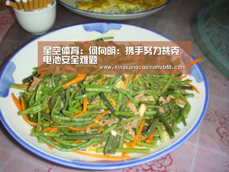 星空体育:何向明:携手努力共克电池安全难题(图1) 星空官网