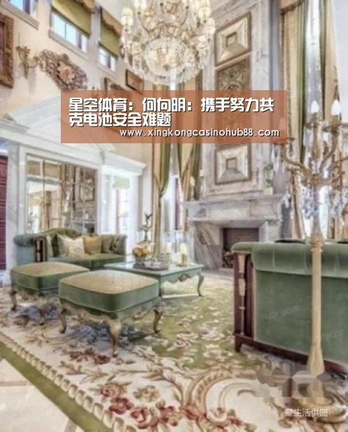 星空体育:何向明:携手努力共克电池安全难题(图2) 星空体育