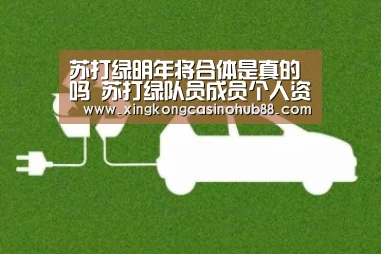 苏打绿明年将合体是真的吗 苏打绿队员成员个人资料-星空真人(图1) 星空竞猜