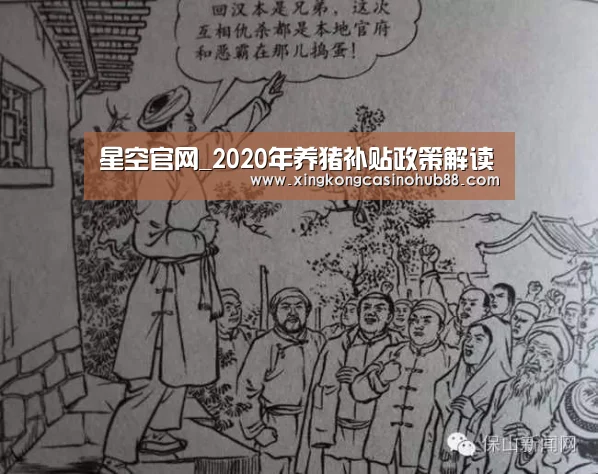 星空官网_2020年养猪补贴政策解读(图1) 星空官网