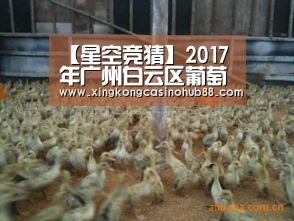 【星空竞猜】2017年广州白云区葡萄节今天开幕(图3) 星空官网